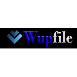 Wupfile 180 jours Compte Premium